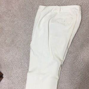 Ann Taylor signature Fit Dress pants Size 12P